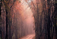 斯图加特队实现反弹，全取三分